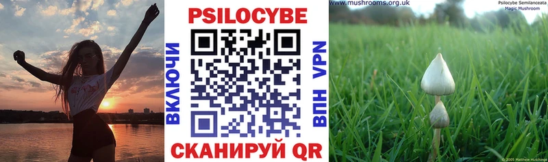 дарк нет официальный сайт  хочу   Первоуральск  Псилоцибиновые грибы Psilocybe 