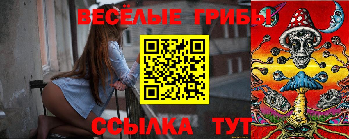 Галлюциногенные грибы Psilocybine cubensis Первоуральск