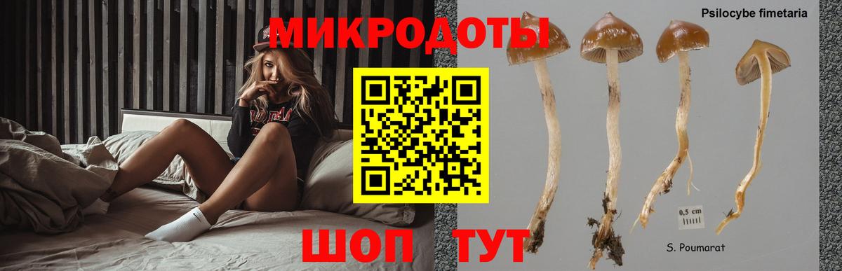 Псилоцибиновые грибы MAGIC MUSHROOMS  где можно купить наркотик  Вход с VPN  Первоуральск  Псилоцибиновые грибы MAGIC MUSHROOMS 